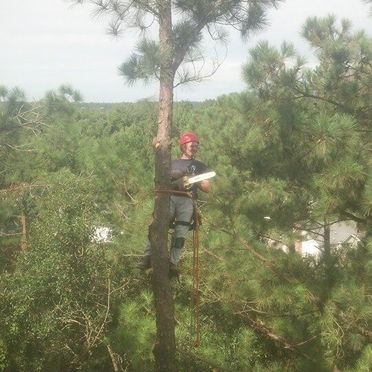 Tree Pruning Augusta, GA